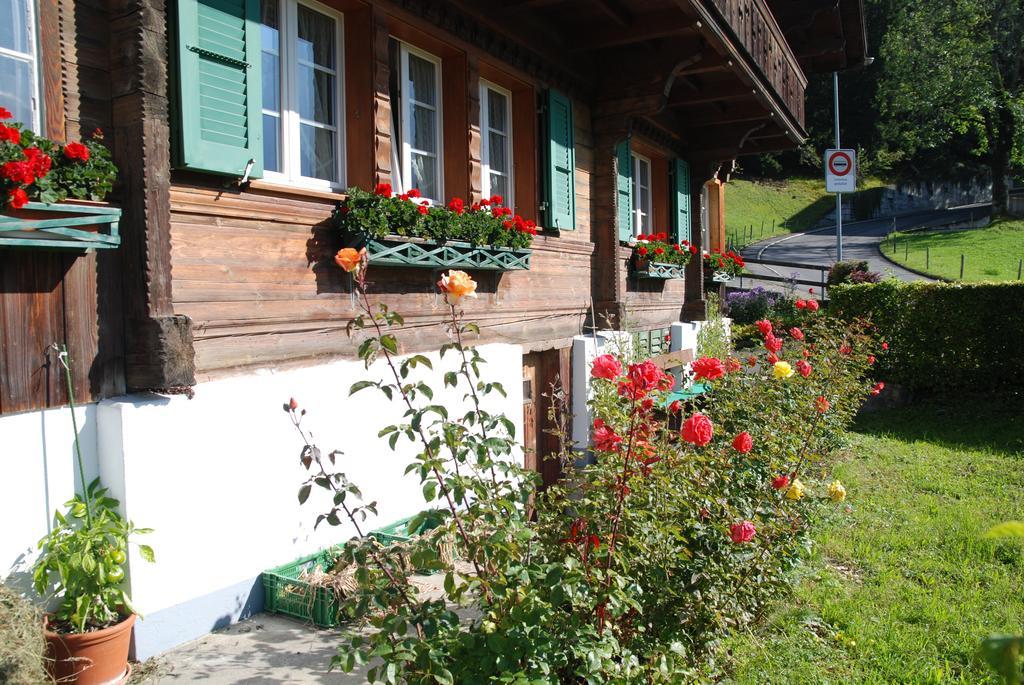 Chalet Tuftbach Apartment Grindelwald Exterior foto